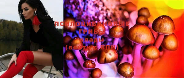 крисы Слюдянка