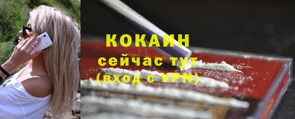 тгк Богородицк