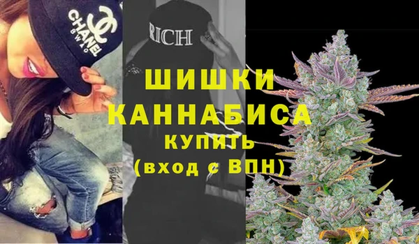 гашик Семилуки