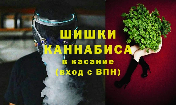 гидропоника Богданович
