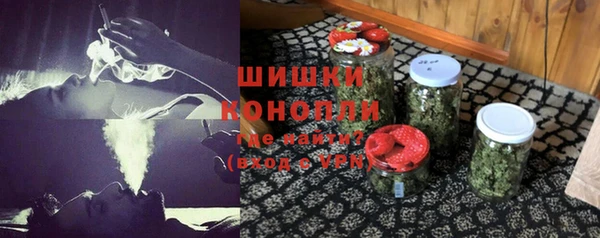 тгк Богородицк