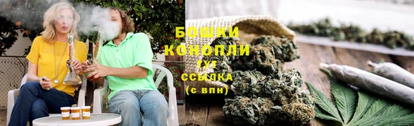 тгк Богородицк