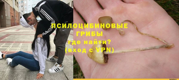 2c-b Богородск