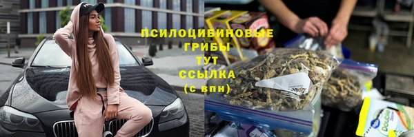 2c-b Богородск